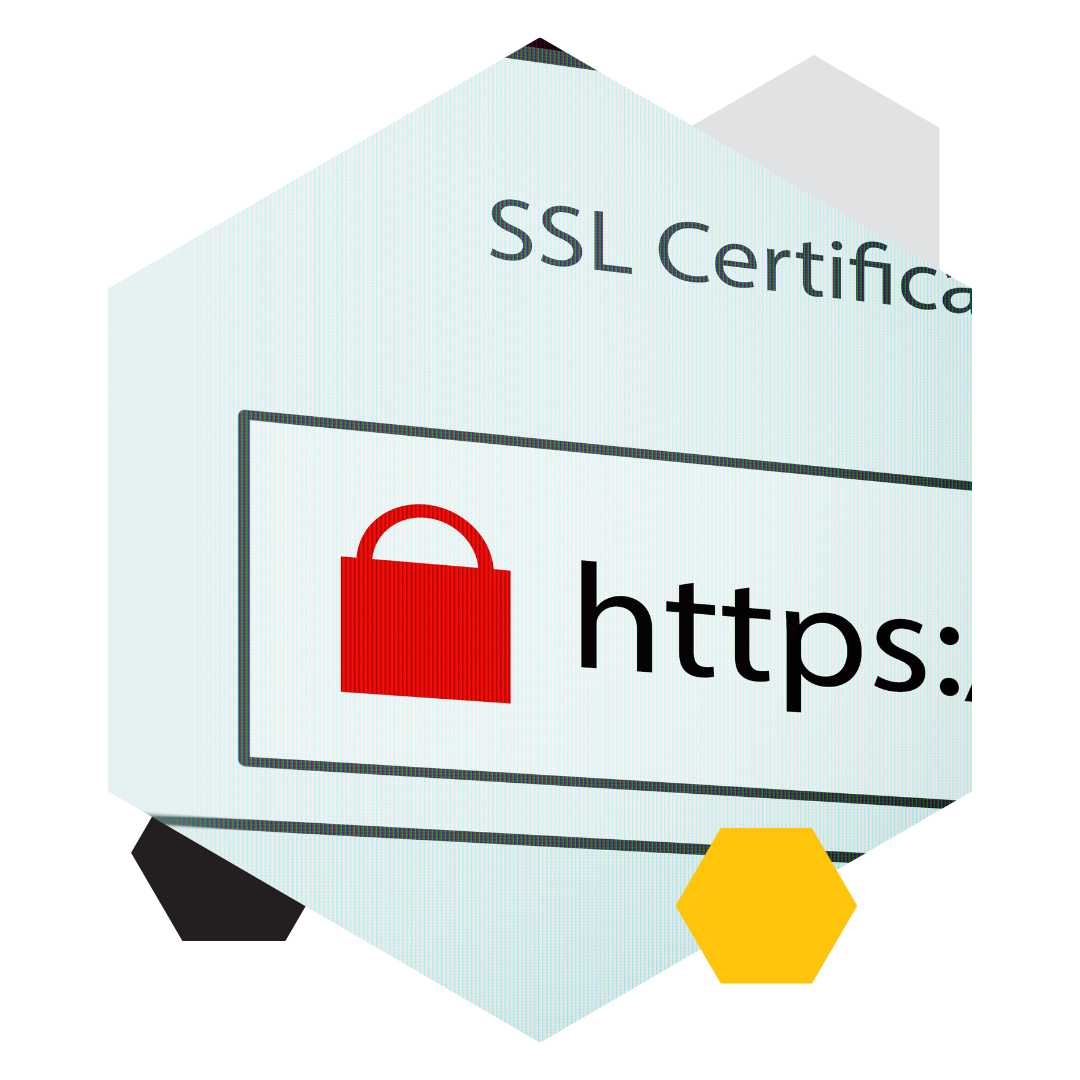 GrowthHive SSL Certification Setup